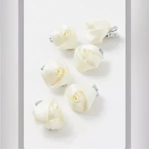 Free people Rosemary’s Rose clips Free People | Accessories | Free People Rosemarys Rose Clips  main image 4